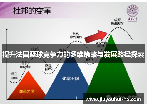 提升法国篮球竞争力的多维策略与发展路径探索 提升法国篮球竞争力的多维策略与发展路径探索