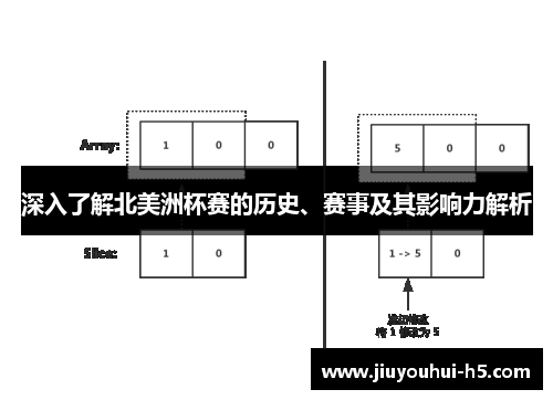深入了解北美洲杯赛的历史、赛事及其影响力解析
